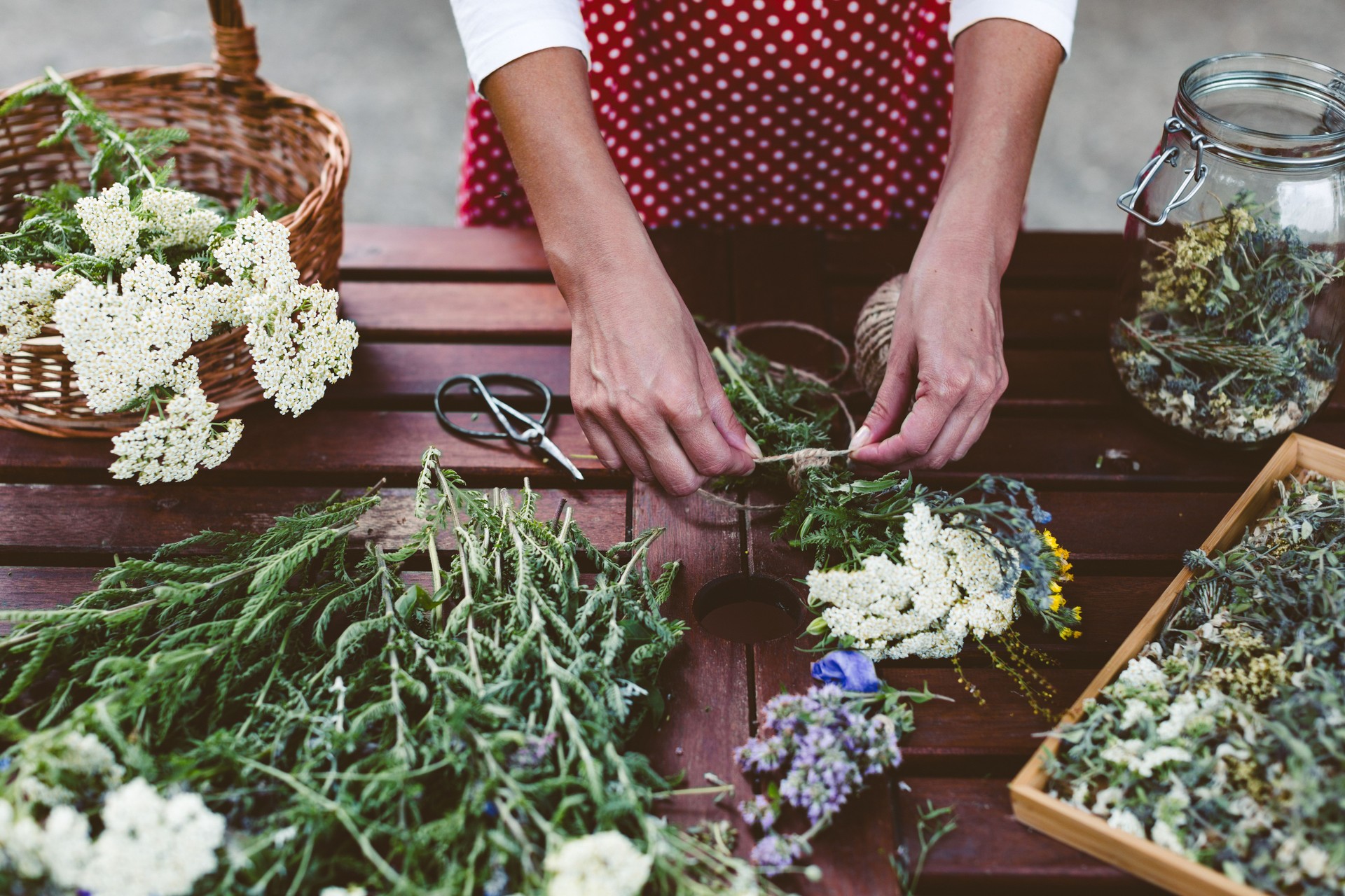 Young woman preparing medicinal herbs for tea