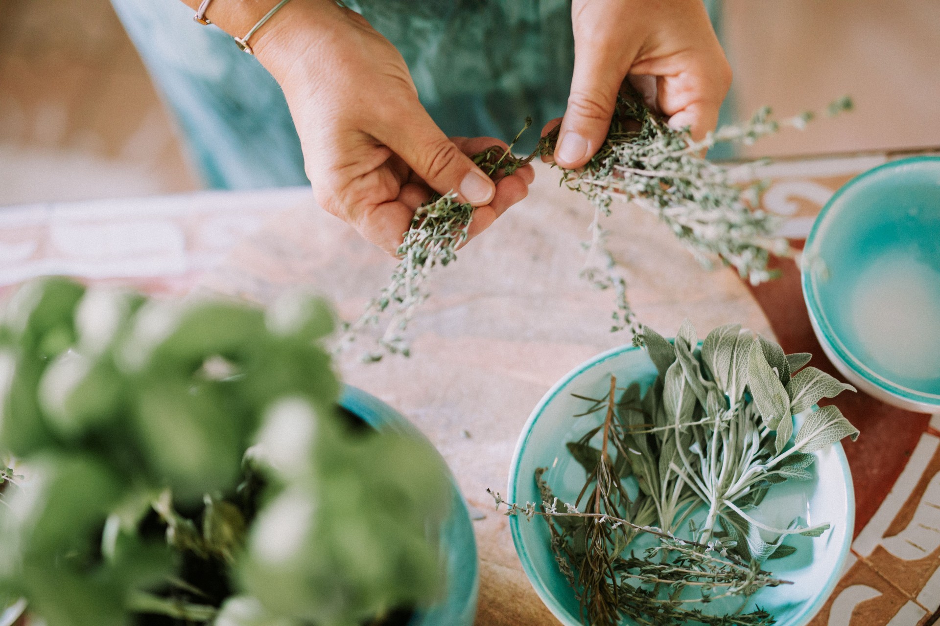 Woman prepares garden herbs